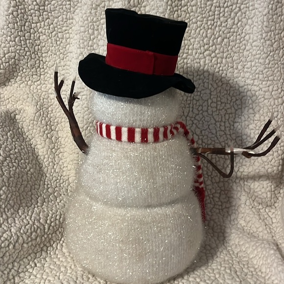 Adorable Snowman - Picture 8 of 11